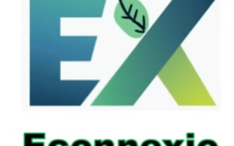 Econnexio